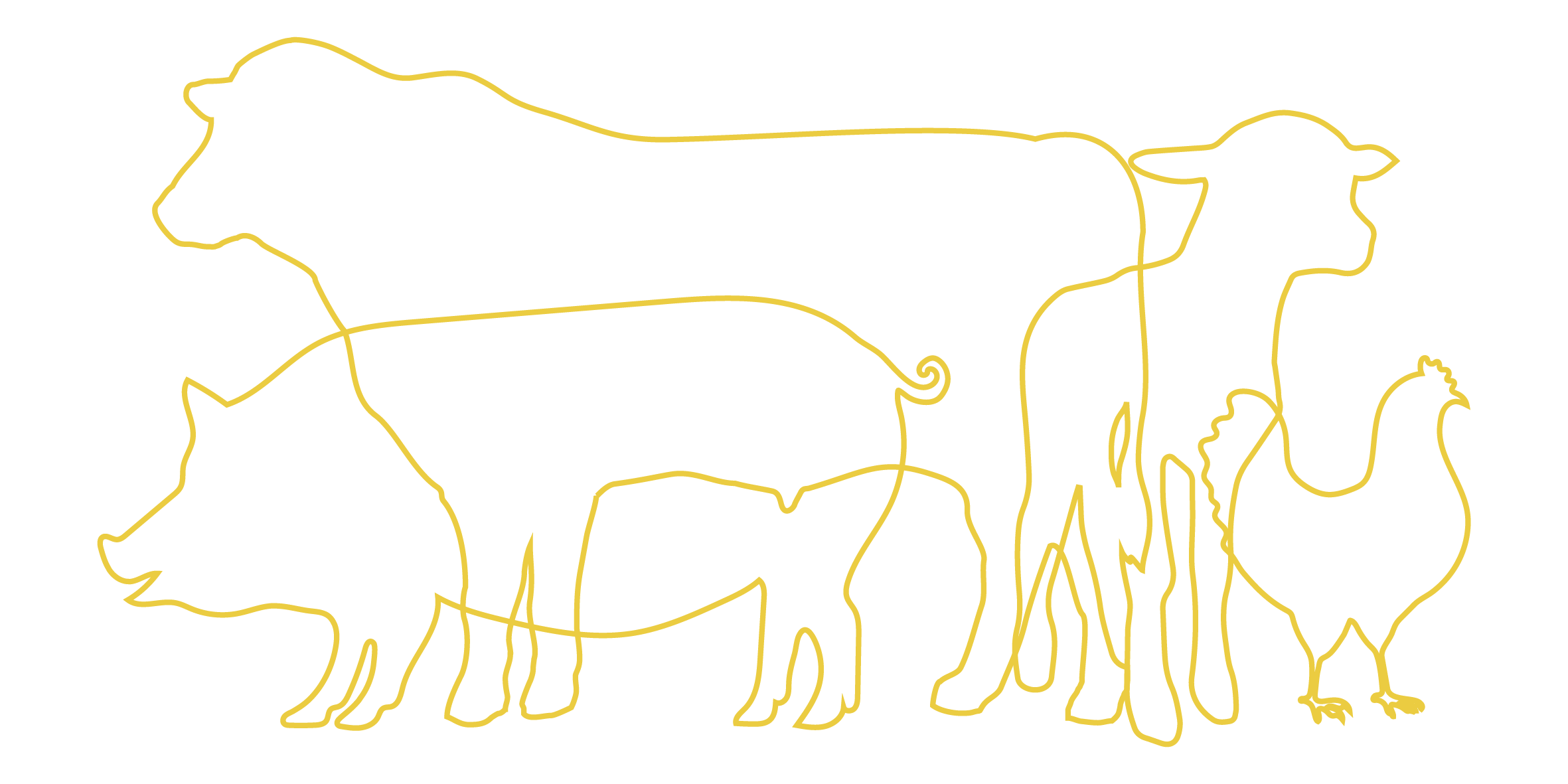 Ashton's Butchery Logo